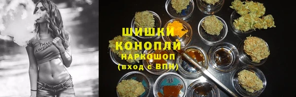 индика Абинск