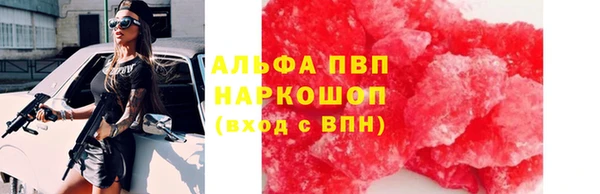 индика Абинск