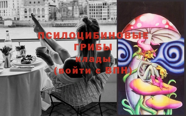 индика Абинск