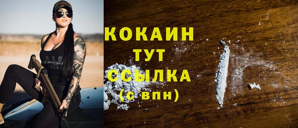 индика Абинск